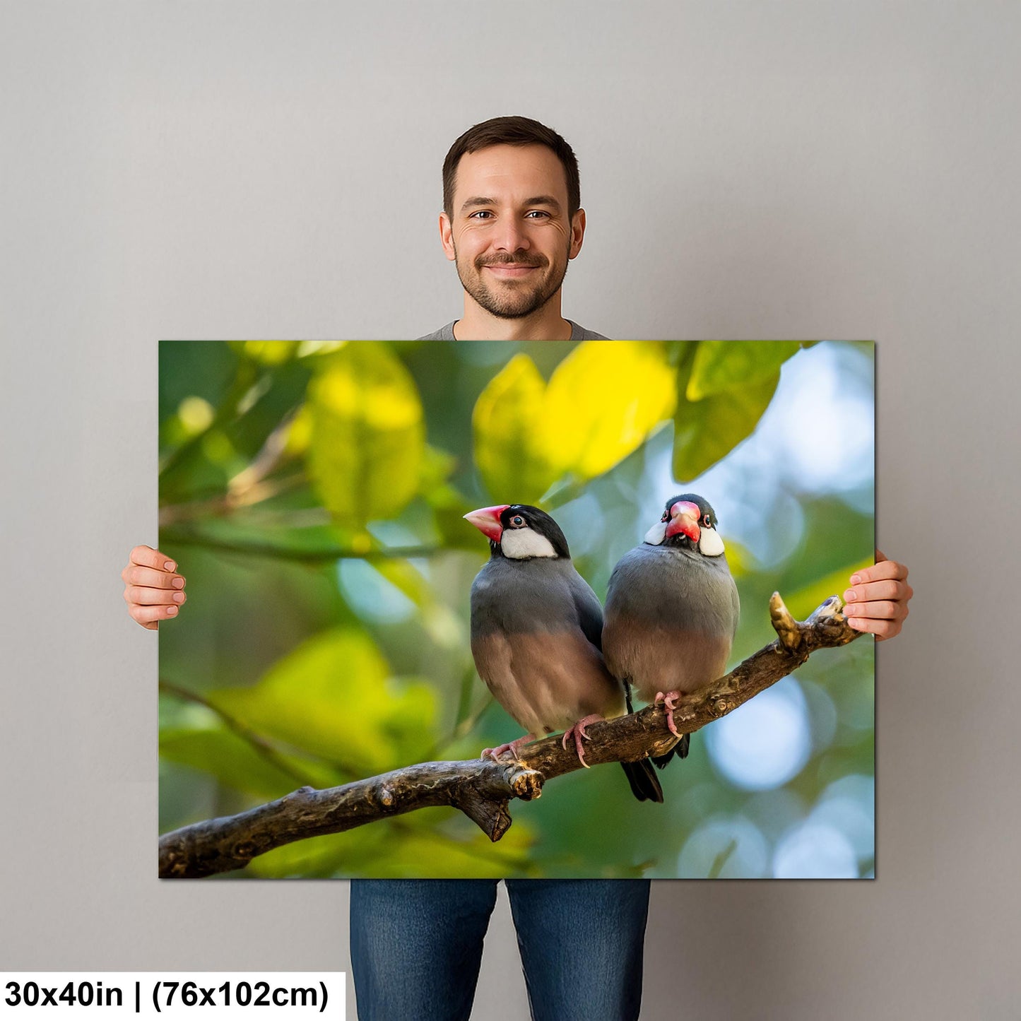 Pair of Java Sparrows on Branch, Wildlife Bird Lover Photography Wall Art
