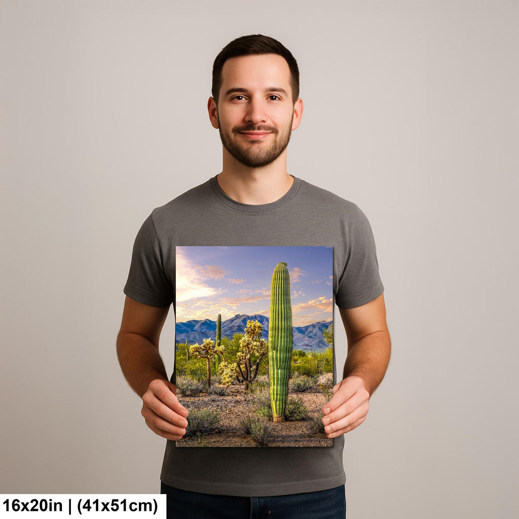 Golden Hour Saguaros and Cholla in Bloom Desert Photography Print, Tucson Arizona Southwest Wall Art Decor