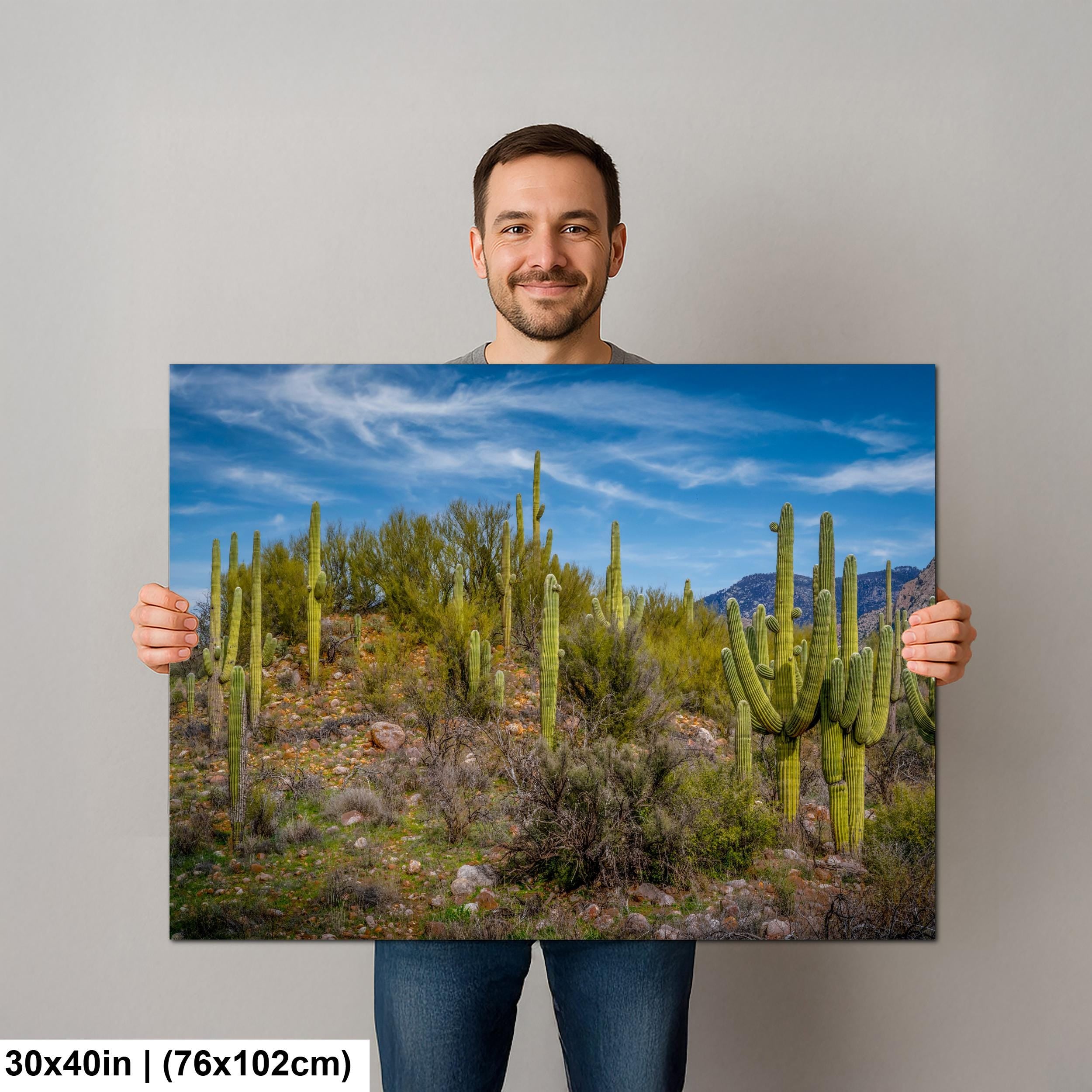 Sonoran Desert Hillside with Saguaros - Catalina State Park Tucson Arizona Photography Print