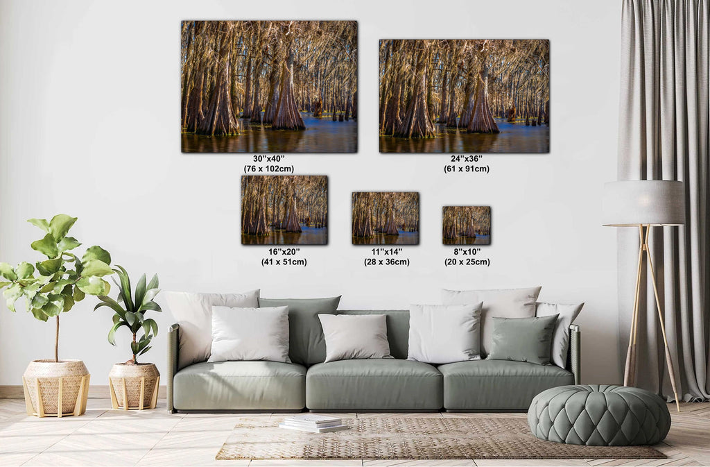 Living room with a sofa and decorative plants, featuring wall art with measurements.