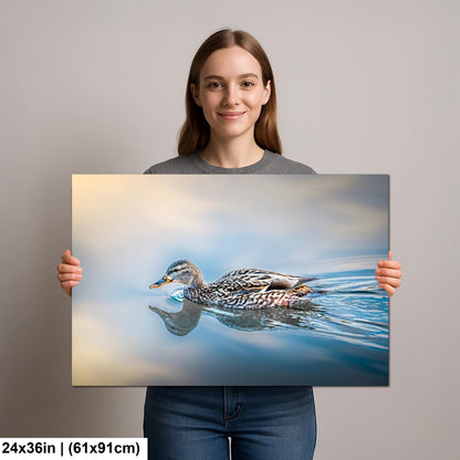 Female Mallard Duck with Reflection on Calm Water Wildlife Photography Print