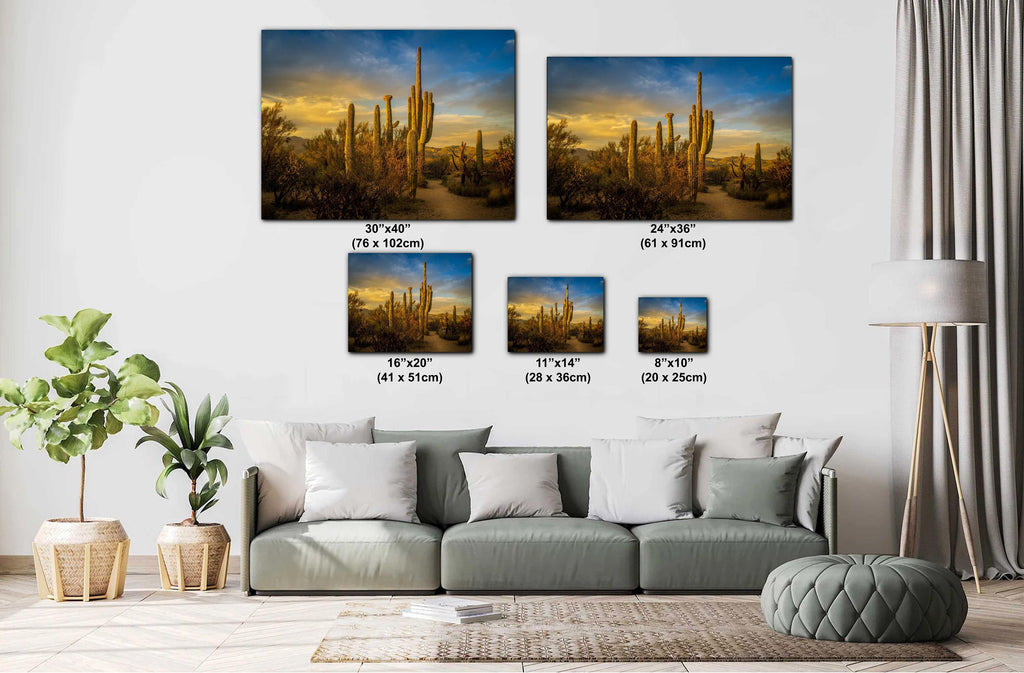 Living room with a sofa and decorative plants, featuring wall art of desert landscapes with measurements.