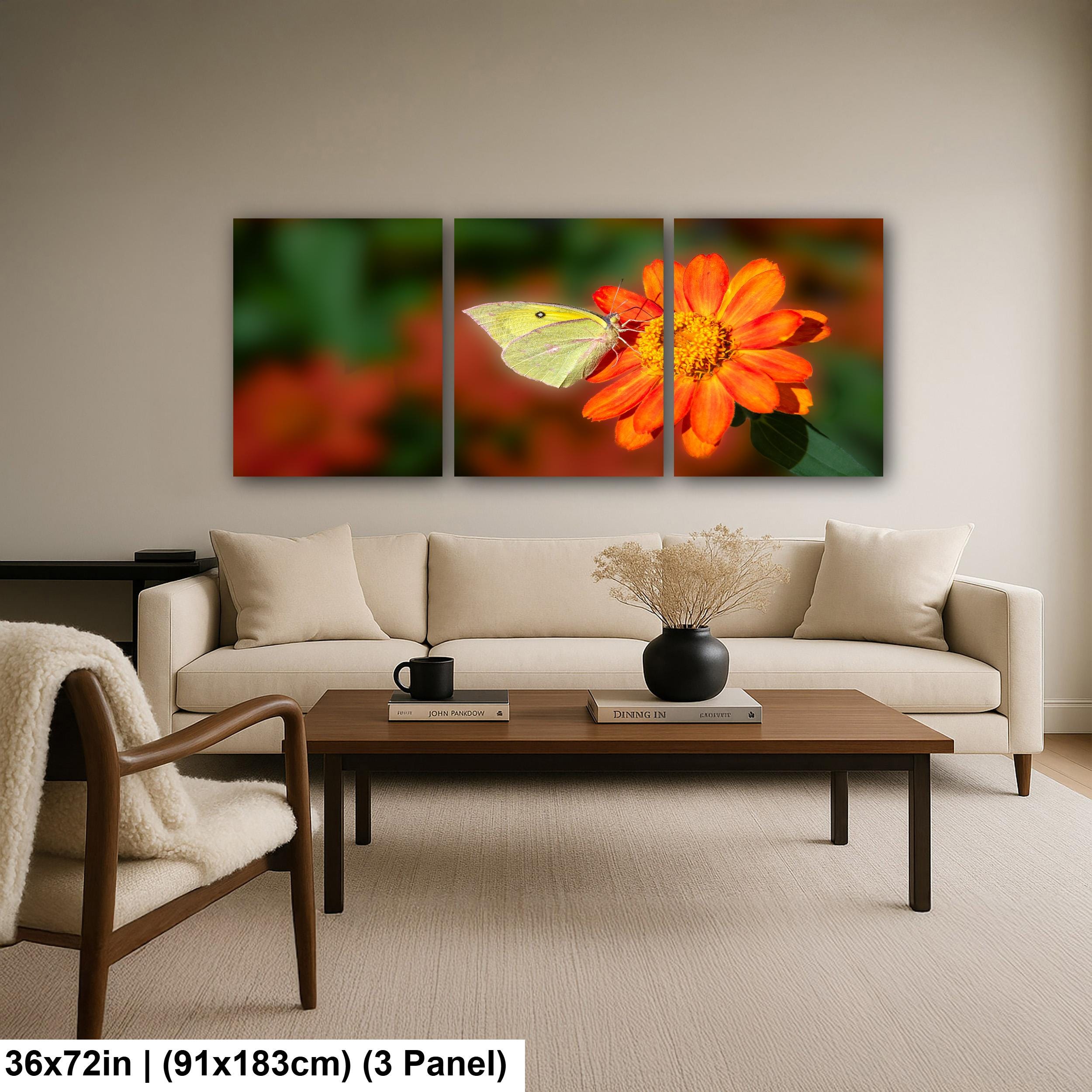Gentle Landing: Butterfly on Flower Mt. Lemmon Arizona Photography Wall Art