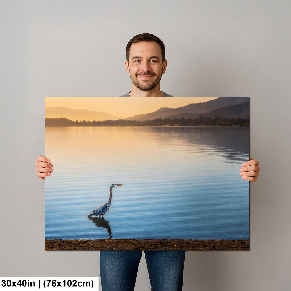 Lakeside Heron: Lake Elsinore California Wildlife Photography Wall Art