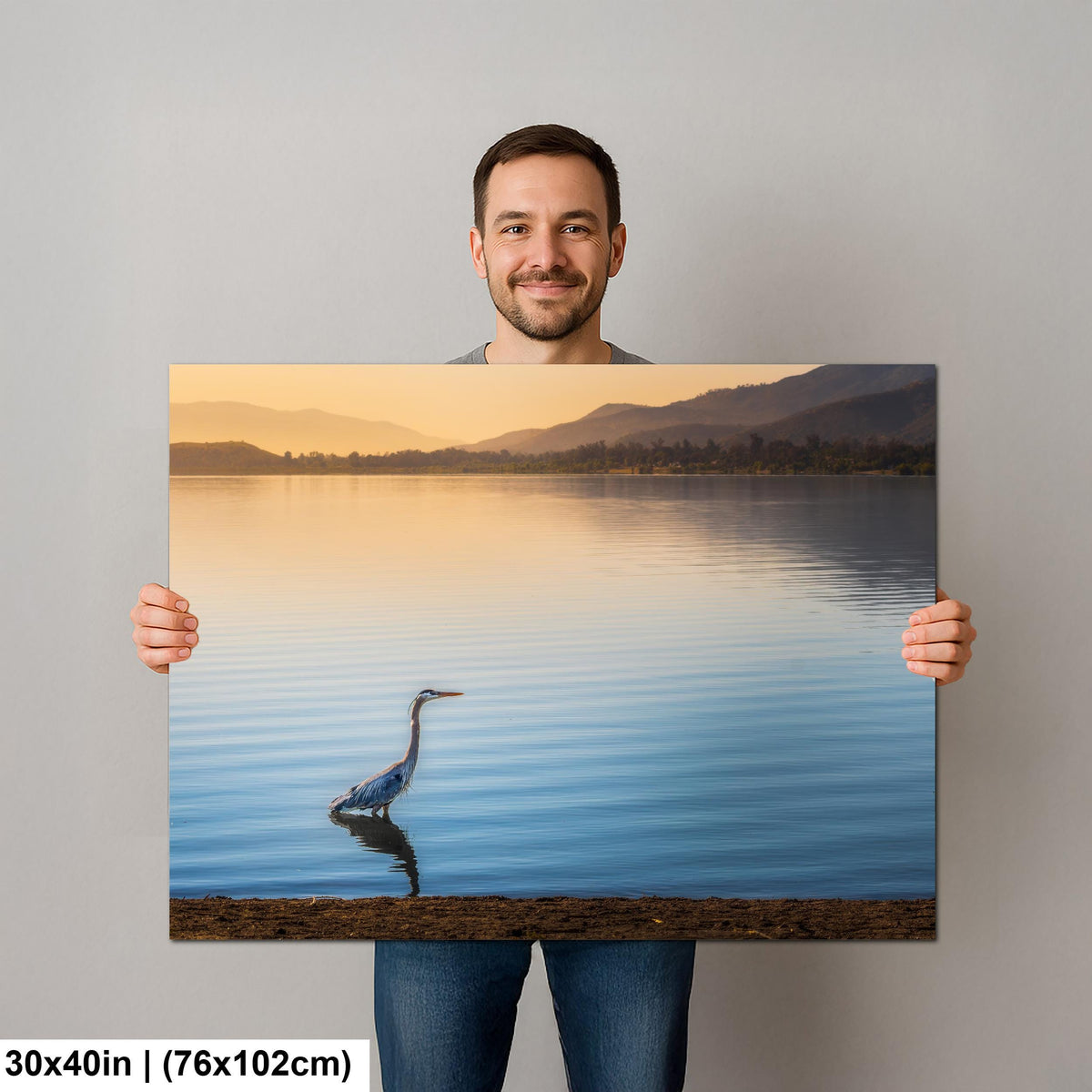 Lakeside Heron: Lake Elsinore California Wildlife Photography Wall Art