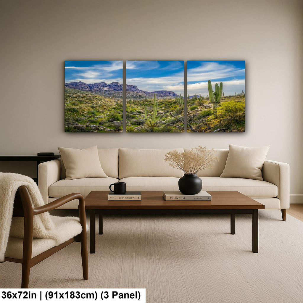 Sonoran Desert Valley with Saguaros and Mountains - Catalina State Park Tucson Arizona Photography Print