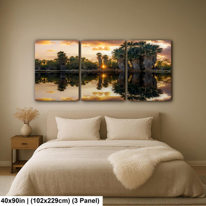 Agua Caliente Park Sunset Palm Oasis Reflection - Tucson Arizona Photography Print