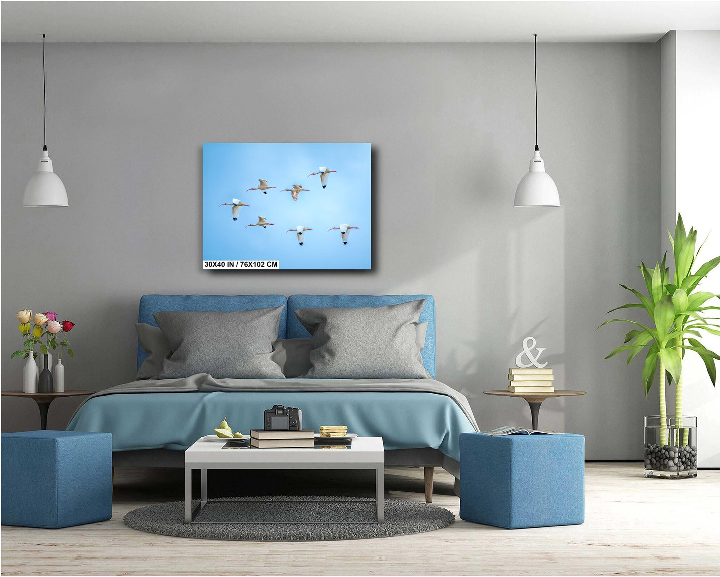 White Ibises Wedge In Flight: American White Ibis in Everglades National Park Florida Print Wall Art Birds Photography Aluminum/Metal/Canvas