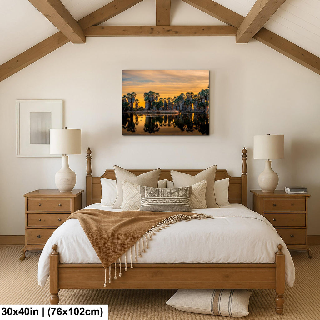 Agua Caliente Desert Palm Oasis Sunset Tucson Arizona Photography Print