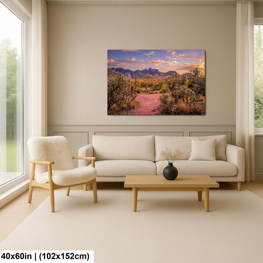 Sonoran Desert Trail Through Cholla Cactus - Tucson Arizona Mountain Sunset Photography Print