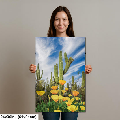 Mexican Gold Poppies Beneath Saguaros - Catalina State Park Tucson Arizona Photography Print