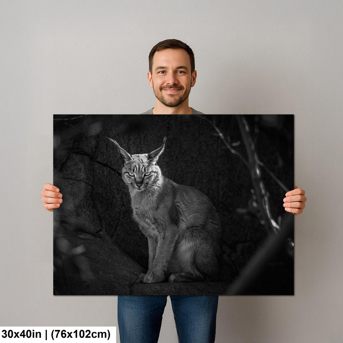 Caracal Wild Cat: African Animal Black and White Photography Wall Art Decor