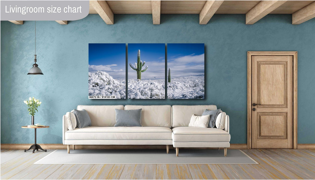 Snowy Saguaro Cactus Print: Tucson Desert Winter Photography