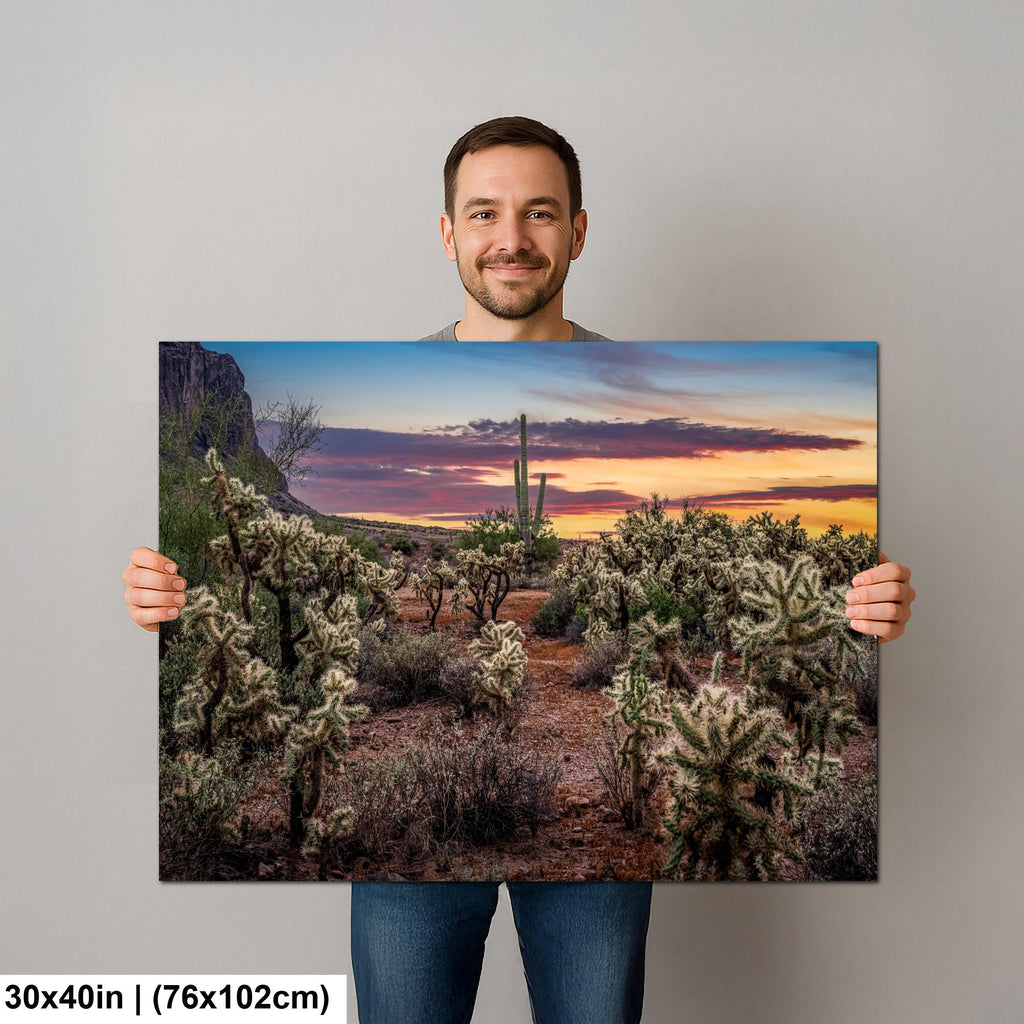 Desert Sunset Photograph, Cholla Cactus and Saguaros, Arizona Landscape Wall Art