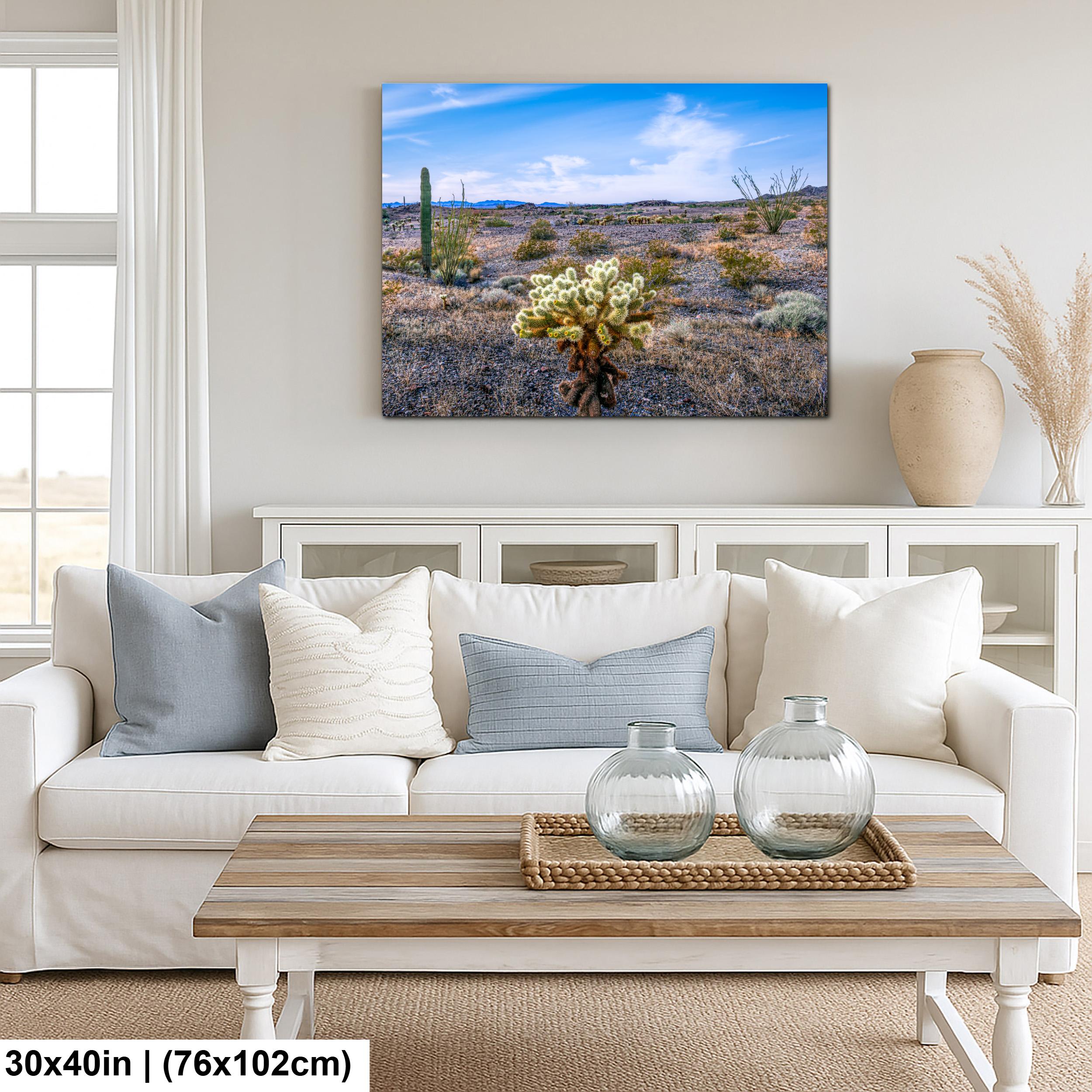 Teddy Bear Cholla in Bloom, Quartzsite Arizona Desert Landscape Photography Print