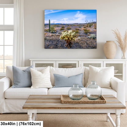 Teddy Bear Cholla in Bloom, Quartzsite Arizona Desert Landscape Photography Print