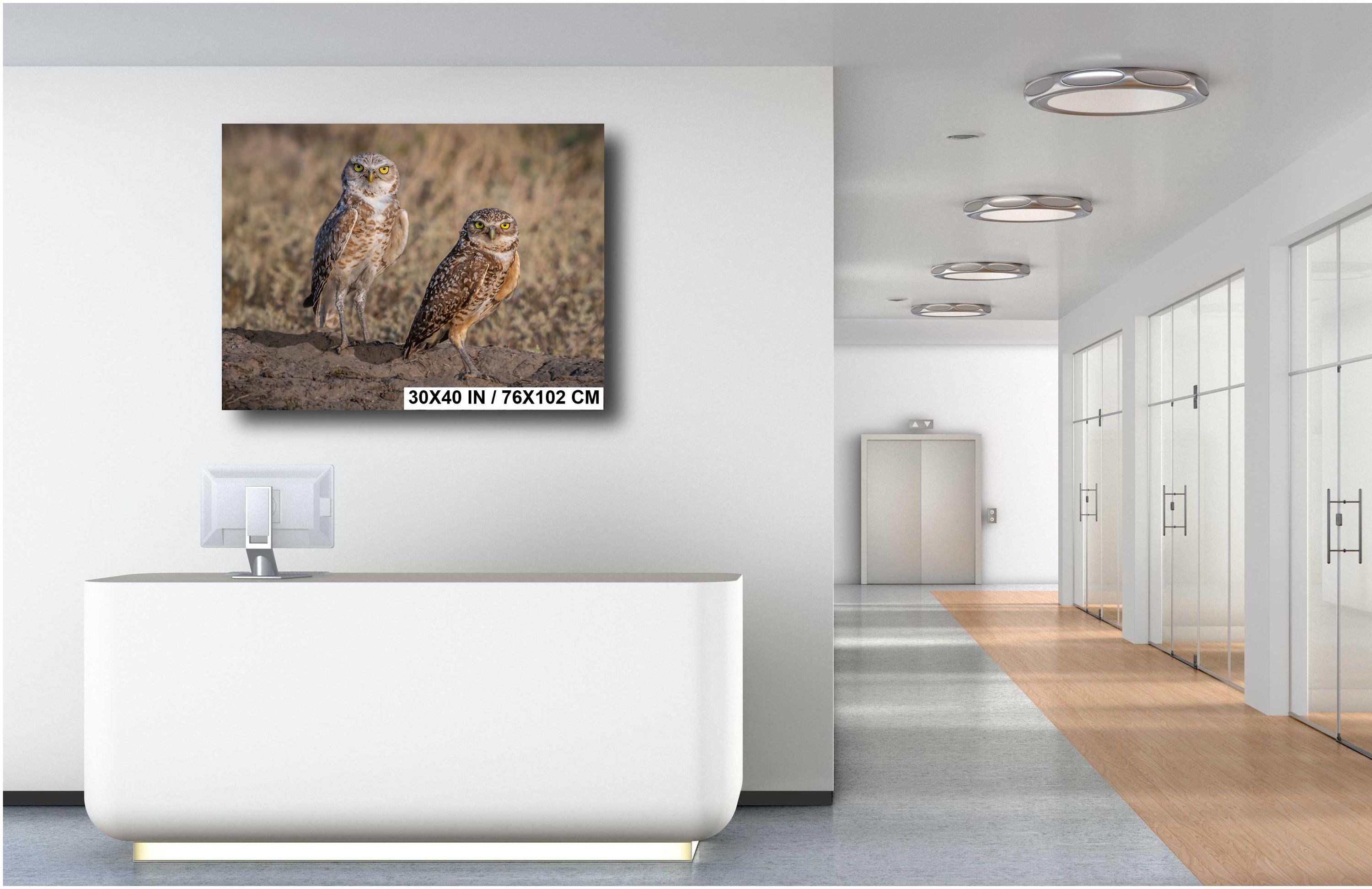 Burrowing Owls Pair Badlands National Park South Dakota Wildlife Photo Print, Nature Wall Art Decor Bird Wildlife Photography Metal Canvas
