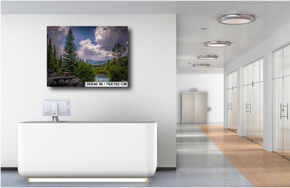 Cloud-Kissed Pines in Rocky Mountain National Park, Colorado Print Wall Art Photography Aluminum/Acrylic/Metal/Canvas Southwestern Decor