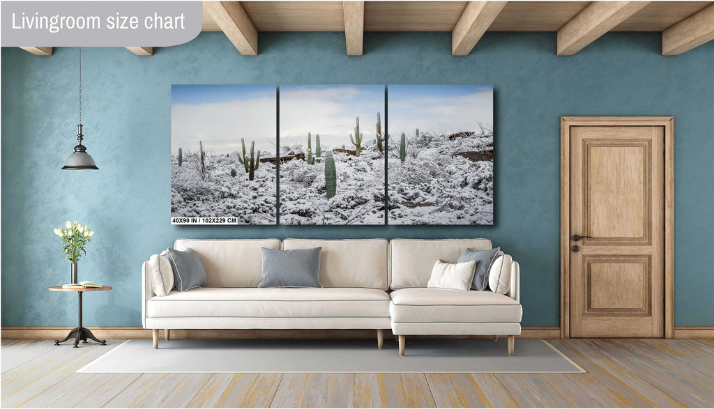 Saguaro National Park Winter Snow Cactus Landscape Art Print