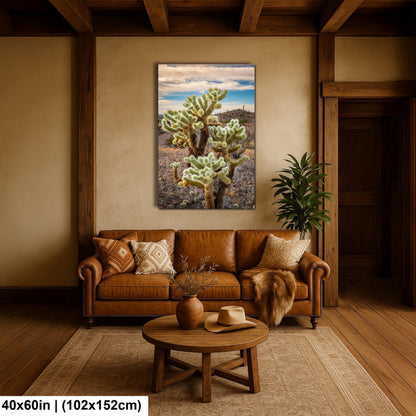 Teddy Bear Cholla Cactus Sonoran Desert Arizona Photography Print, Southwest Desert Wall Art