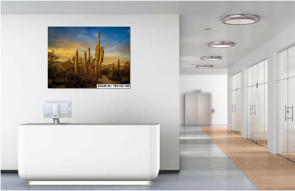 Modern office interior with a large wall-mounted TV displaying a desert scene.