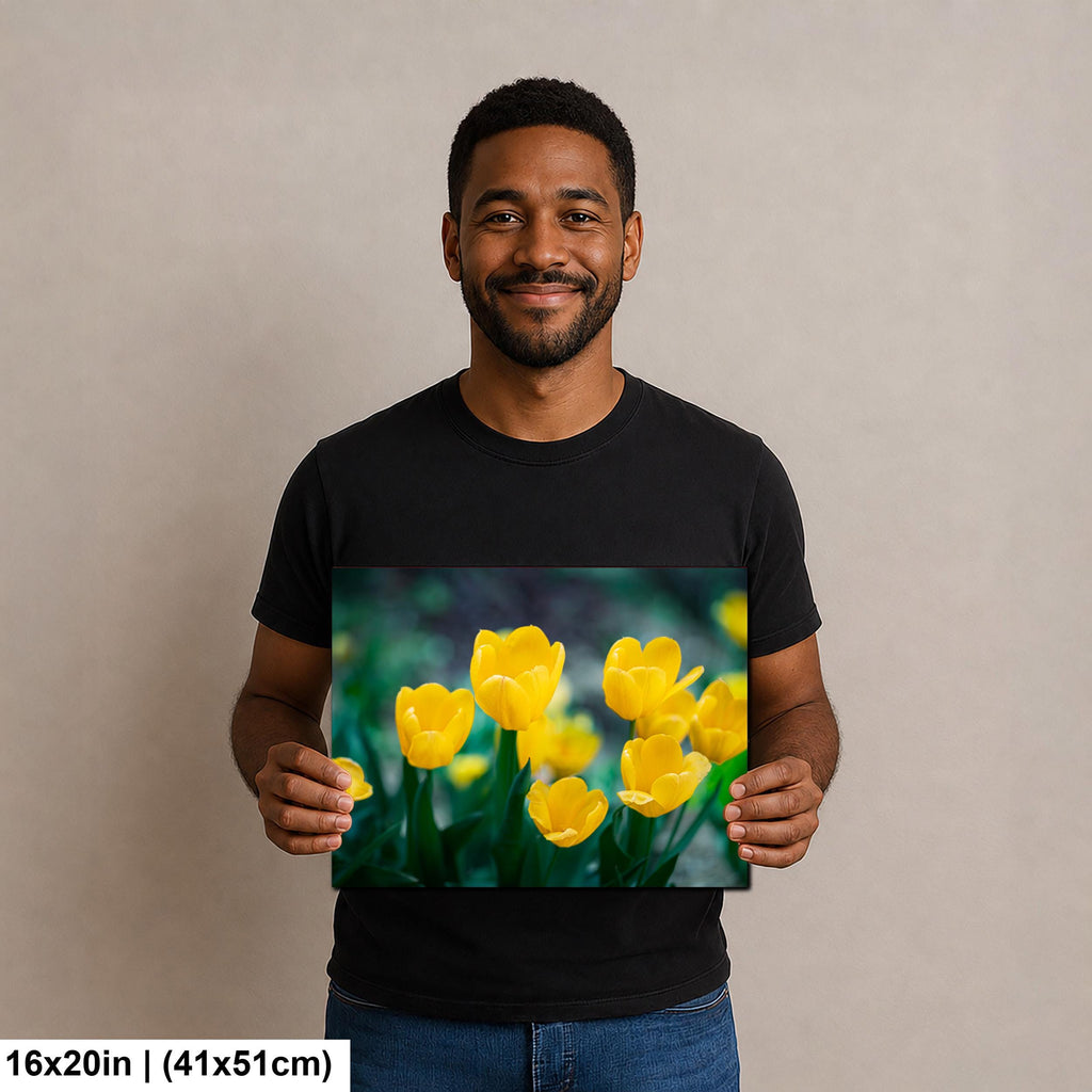 Sunlit Blooms: Yellow Tulip Flower Photography Botanical Floral Wall Art