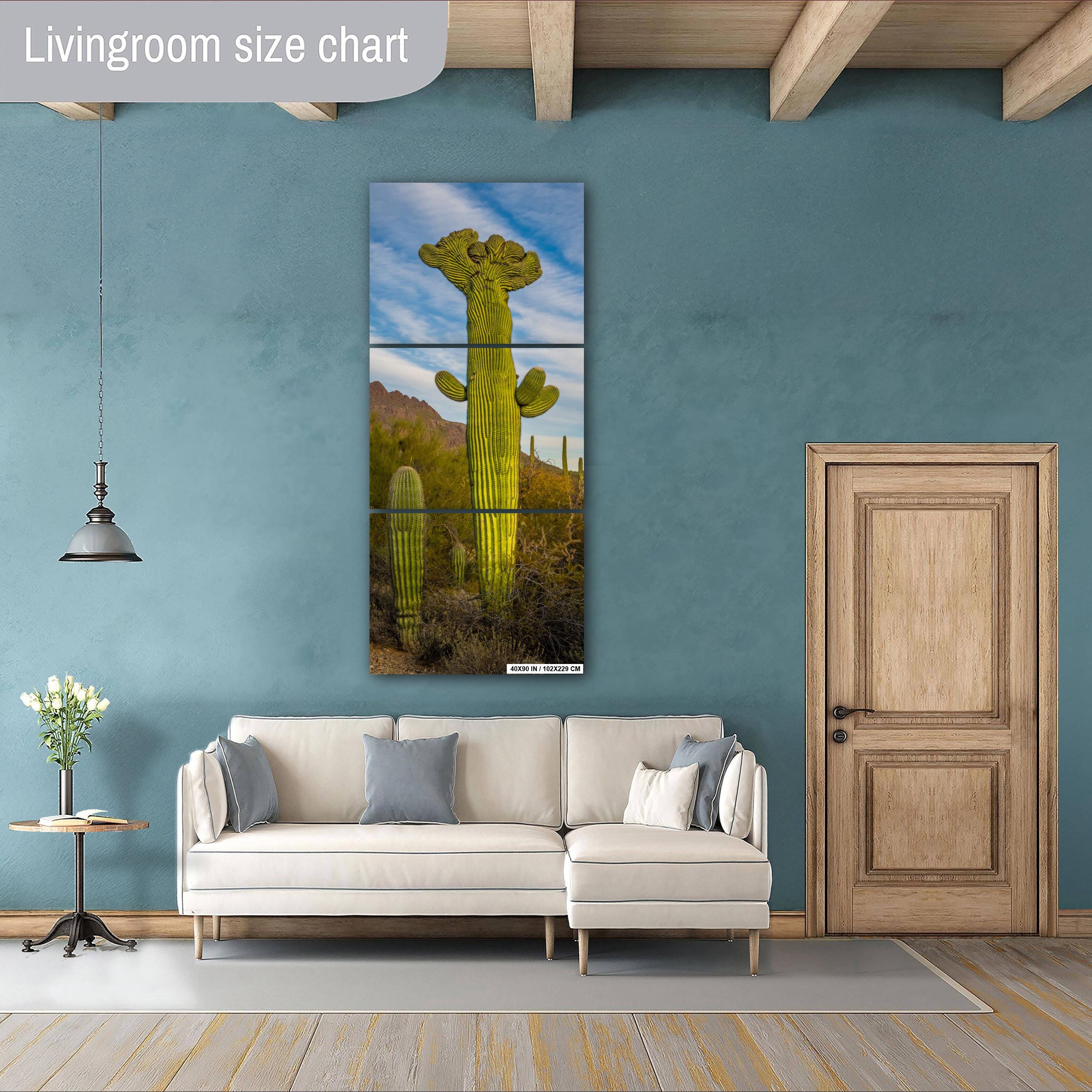 Saguaro Cactus: Tucson Mountain Park, Arizona Desert Photography Wall Art