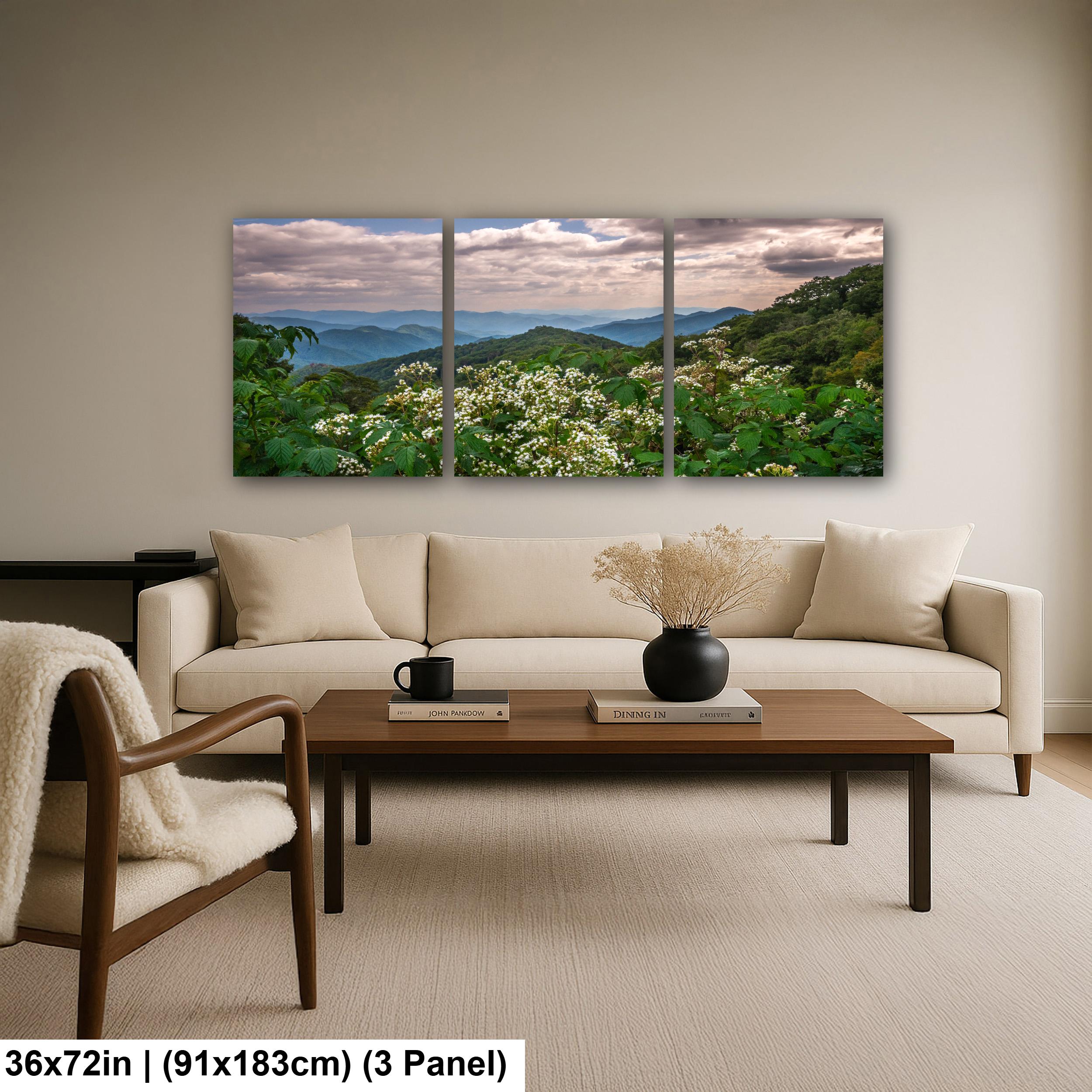 Mountain Meadow: Wildflowers Great Smoky Mountains Tennessee Photo Wall Art