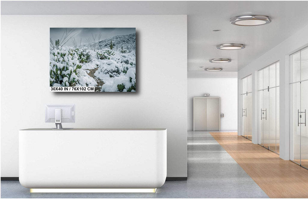 Snowy Cactus Wall Art - Saguaro National Park Winter Cactus Print | Desert Decor