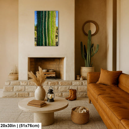 Saguaro Cactus Close-Up Photography Print, Oro Valley Arizona Desert Wall Art, Southwestern Decor, Green Cactus Spines