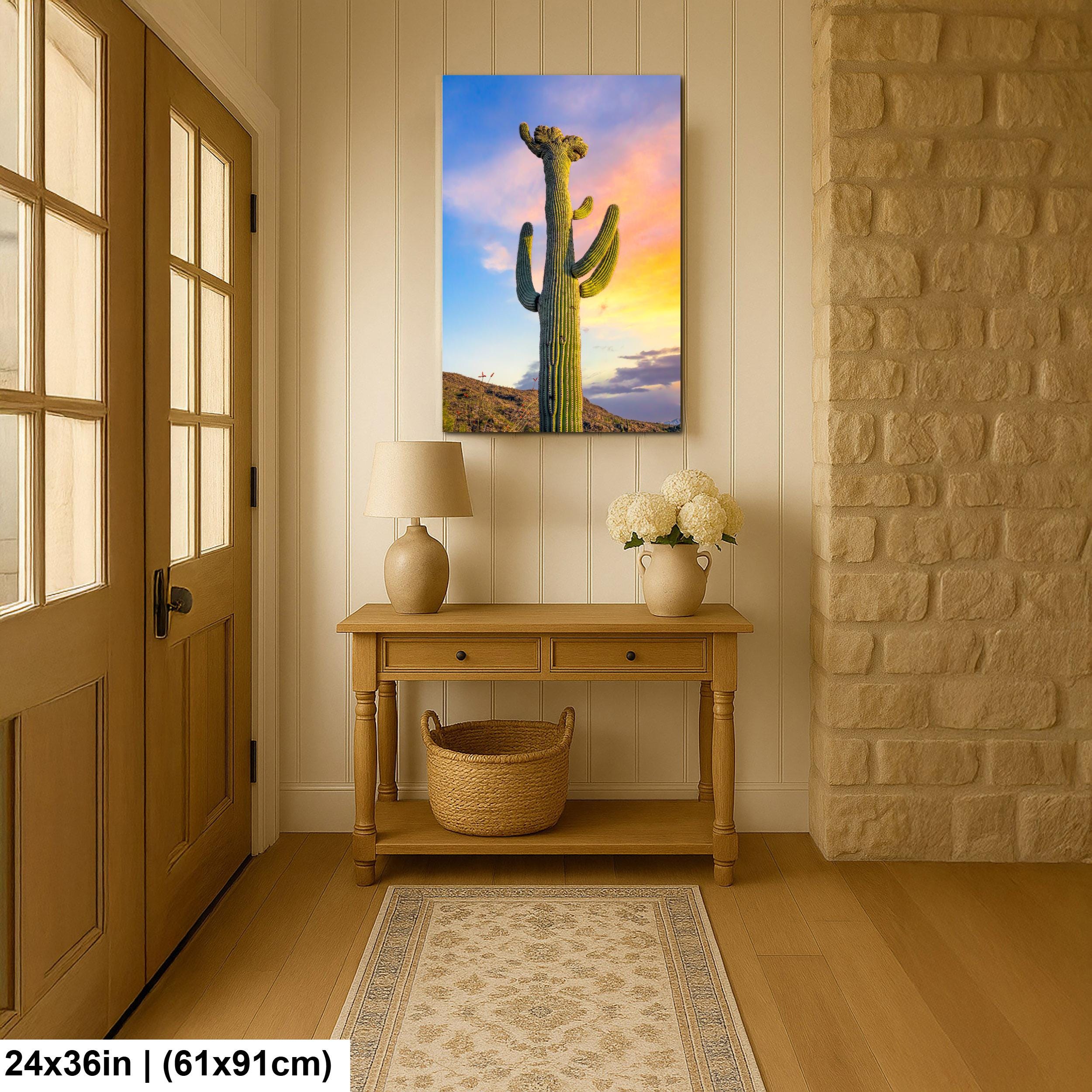 Saguaro Cactus at Sunset - Saguaro National Park East Tucson Arizona Photography Print