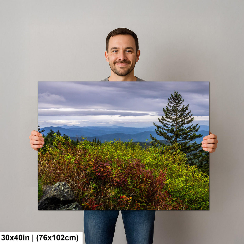 Autumn's Edge: Great Smoky Mountains Tennessee Nature Photography Wall Art