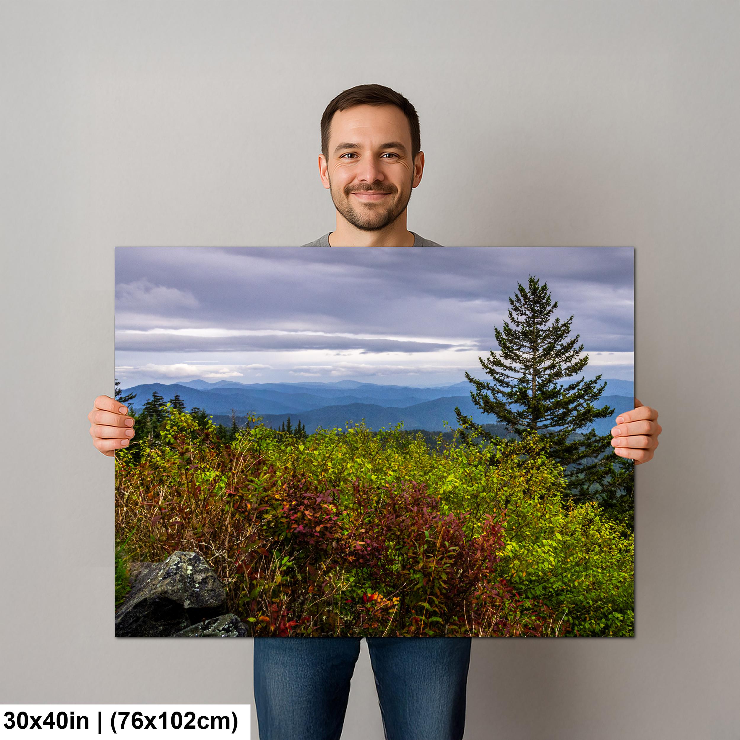 Autumn's Edge: Great Smoky Mountains Tennessee Nature Photography Wall Art