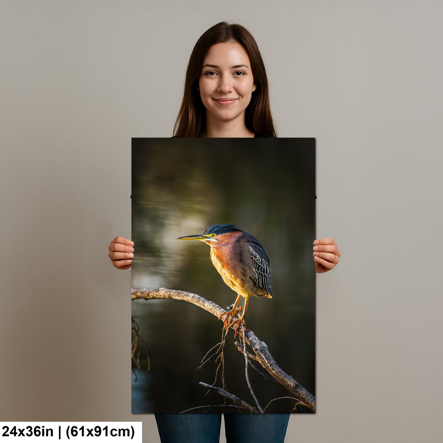 Green Heron Photography Print, Agua Caliente Park Tucson Arizona, Bird Wall Art, Nature Home Decor, Wildlife Gift