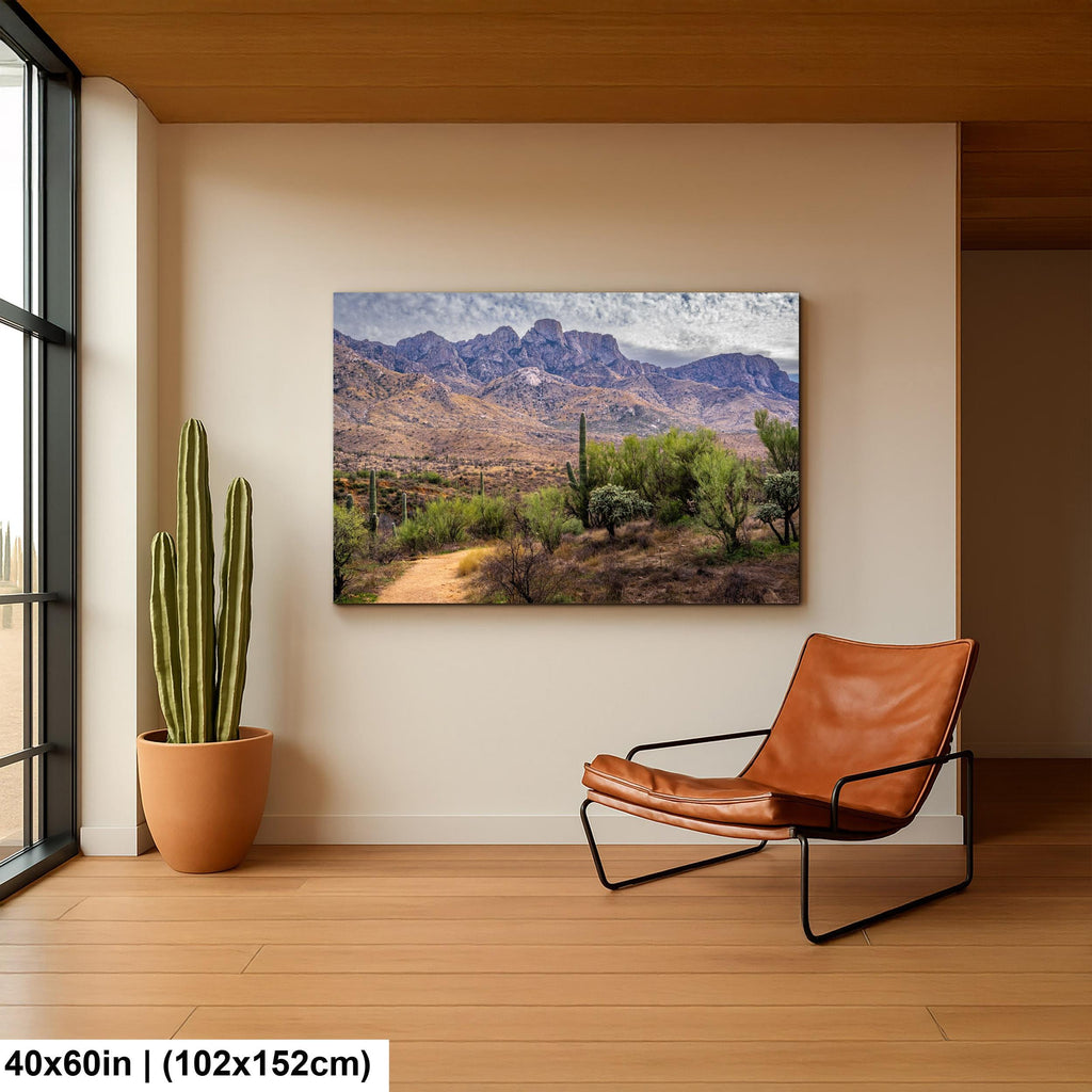 Santa Catalina Majesty, Arizona Mountains Sonoran Desert Photography Wall Art