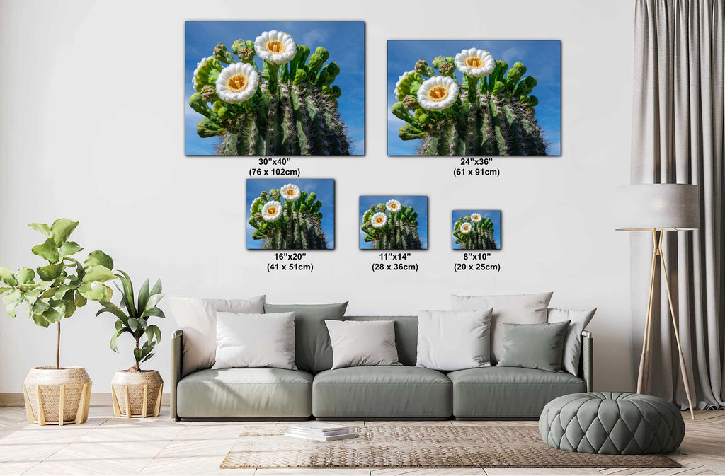 Saguaro Cactus Flower Close Up Saguaro National Park Tucson Arizona Wall Art Photography Print, Sonoran Desert Bloom Macro, Nature Decor