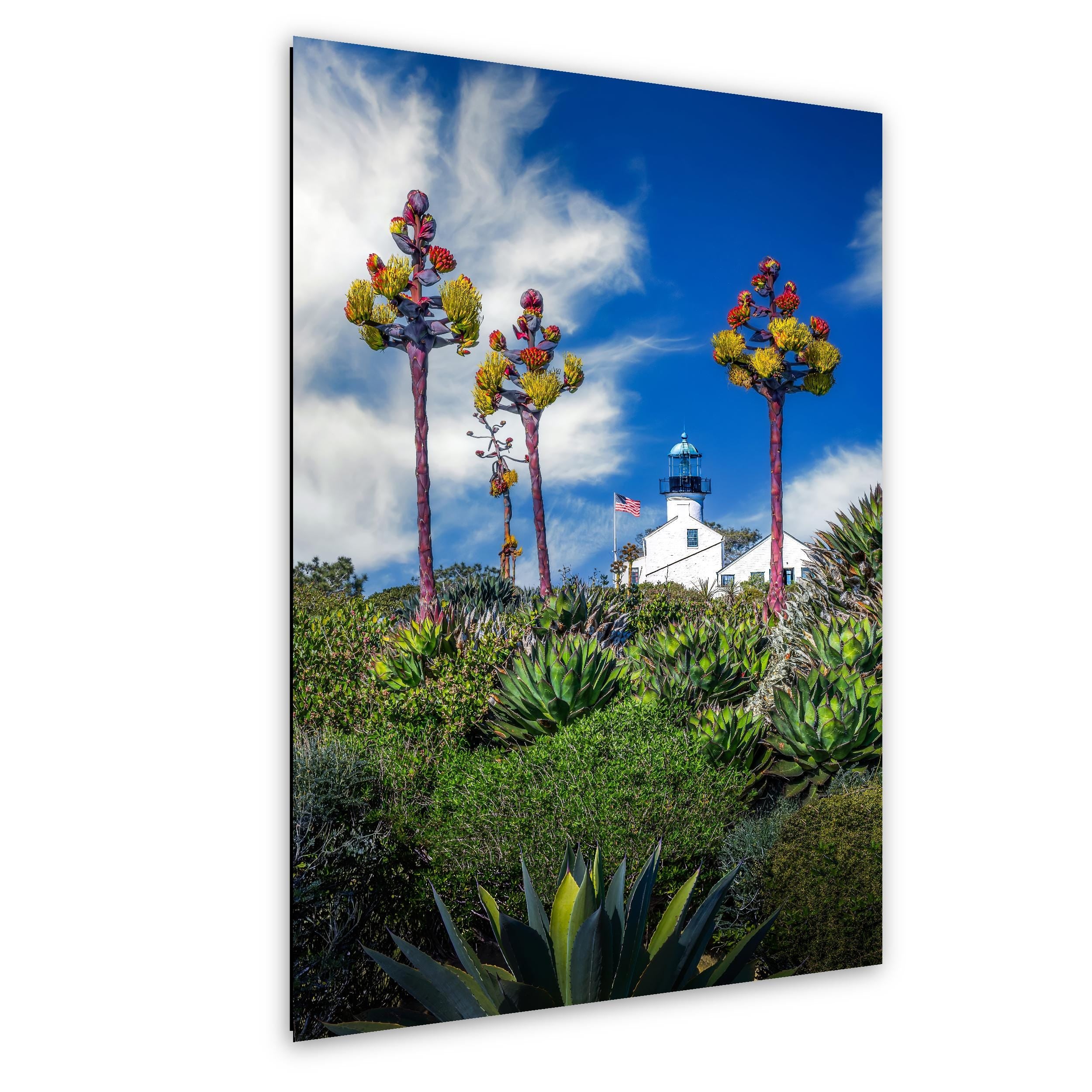 Blooming Lighthouse: Point Loma Lighthouse San Diego CA Photo Wall Art