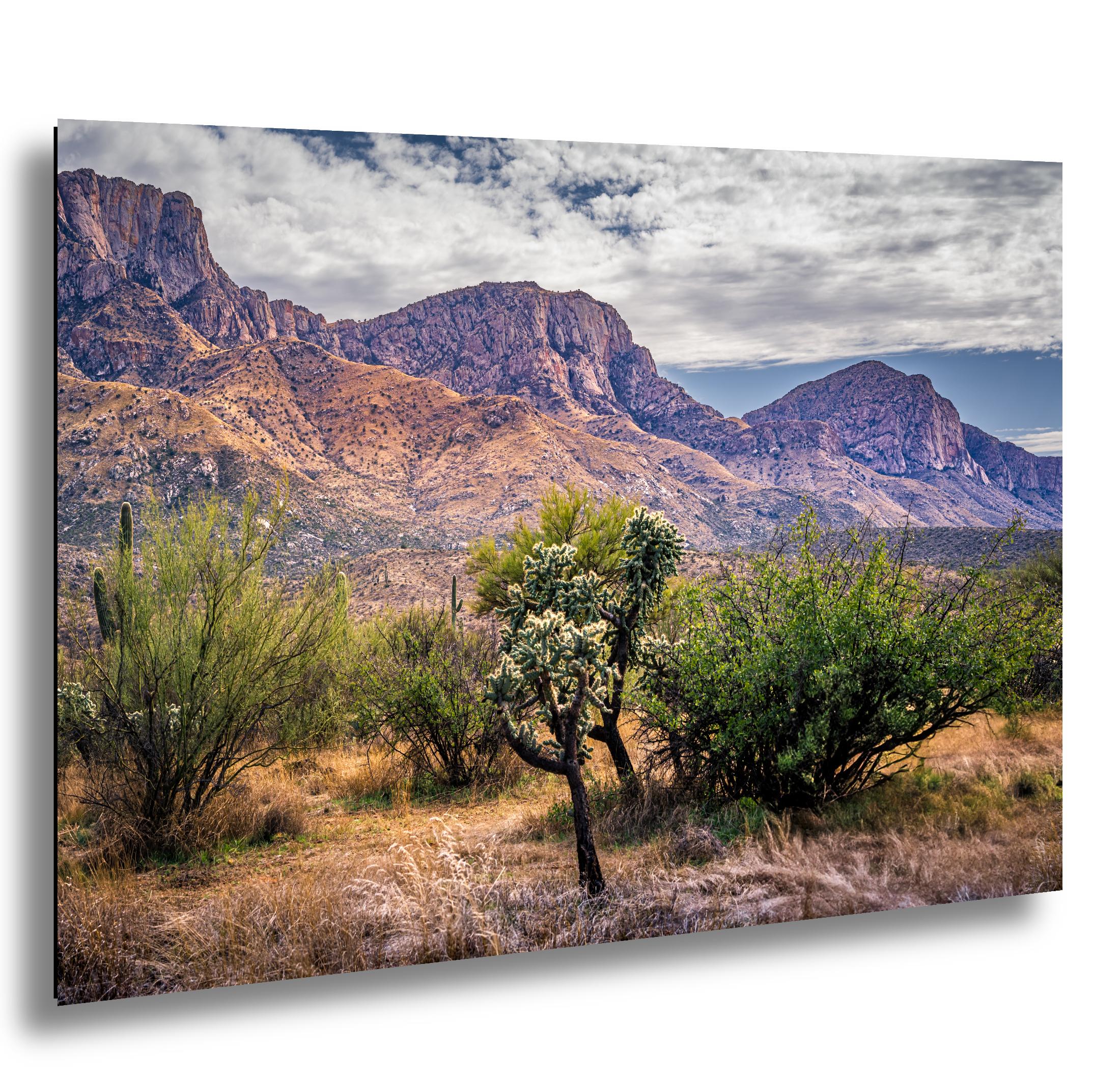 Catalina Mountains Scenic View Arizona Desert Sonoran Landscape Nature Photography Wall Art
