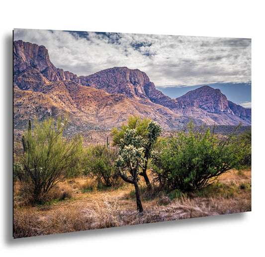 Arizona Desert Wall Art - Catalina Mountains Print | Sonoran Desert Landscape Photography