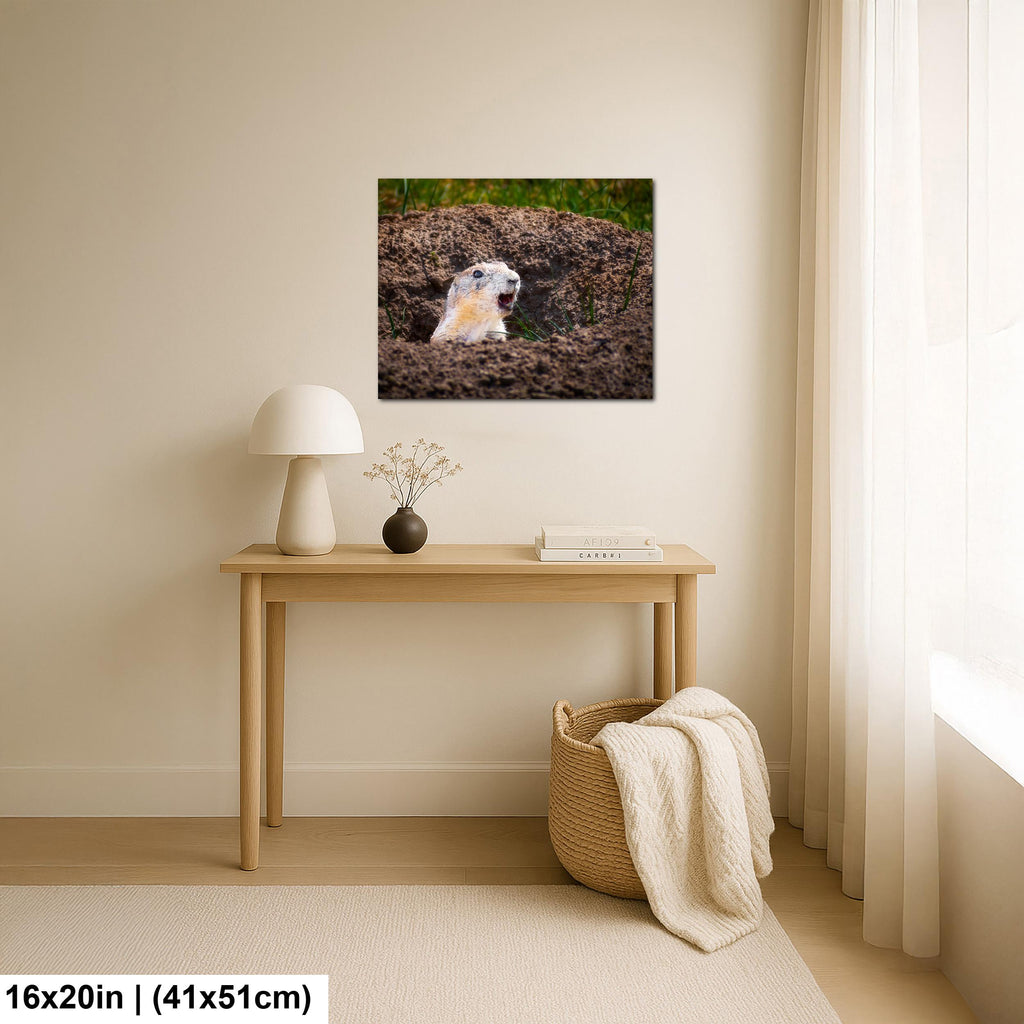 Burrow Scout: Prairie Dog Devils Tower Wyoming Wildlife Photo Wall Art
