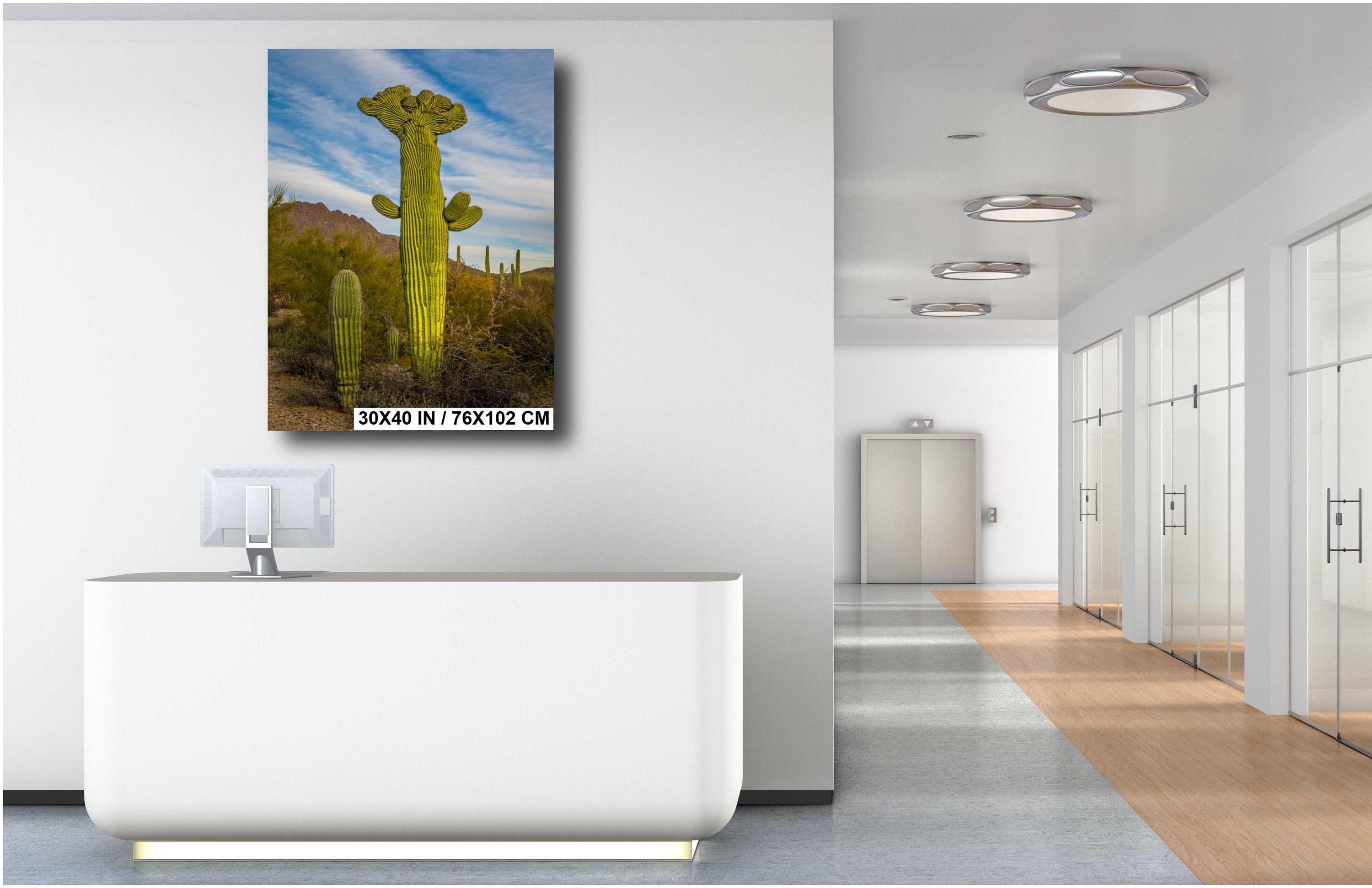 Saguaro Cactus: Tucson Mountain Park, Arizona Desert Photography Wall Art
