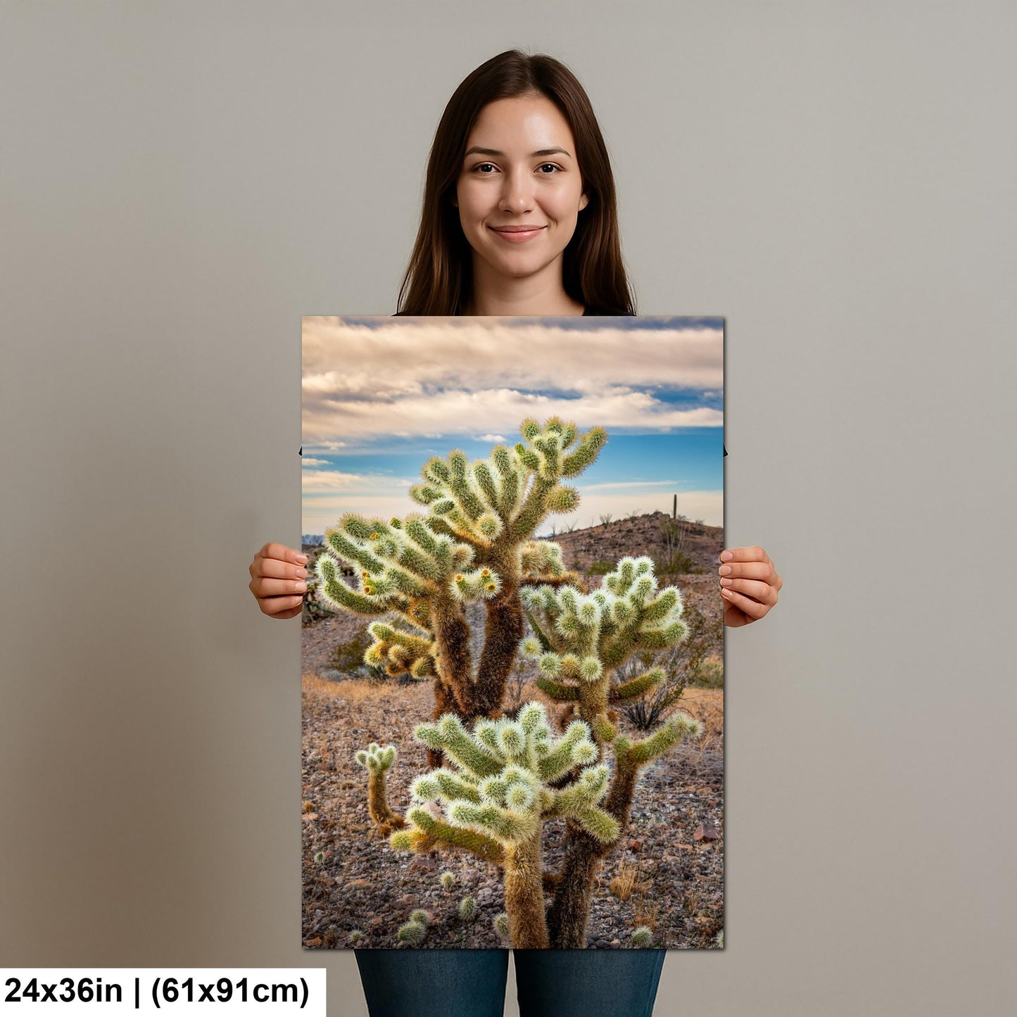 Teddy Bear Cholla Cactus Sonoran Desert Arizona Photography Print, Southwest Desert Wall Art