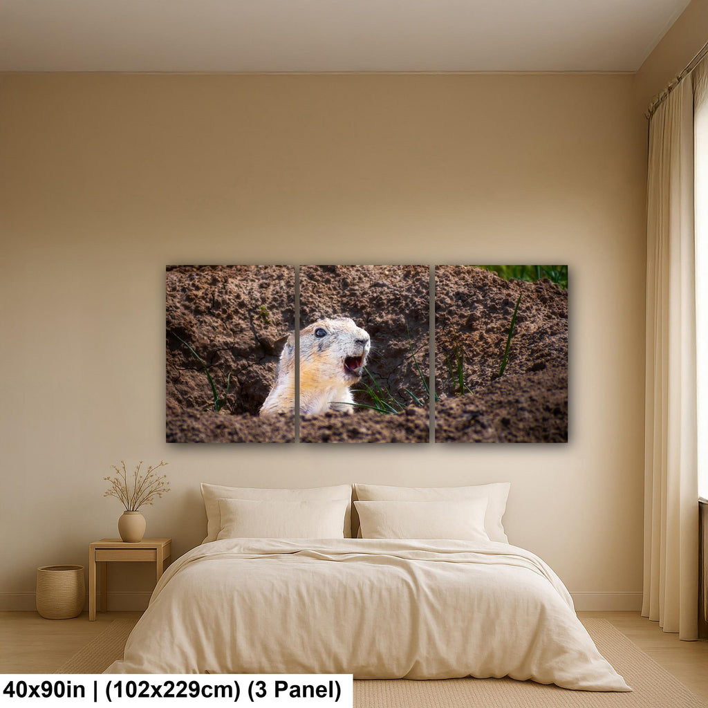 Burrow Scout: Prairie Dog Devils Tower Wyoming Wildlife Photo Wall Art