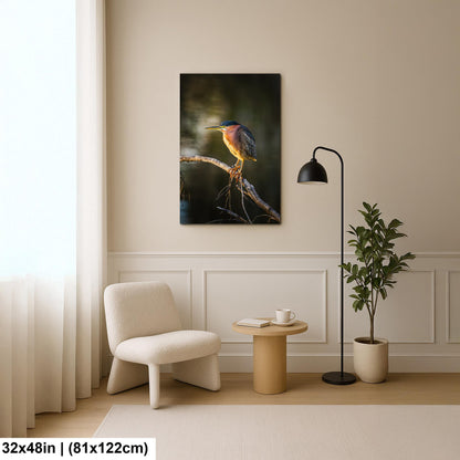 Green Heron Photography Print, Agua Caliente Park Tucson Arizona, Bird Wall Art, Nature Home Decor, Wildlife Gift