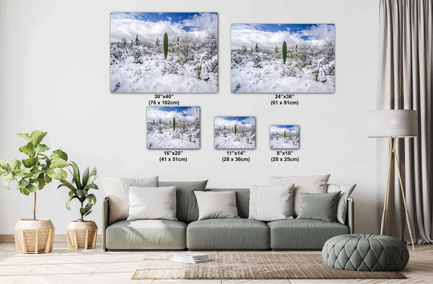 Saguaro National Park Print – Desert Wall Art | Winter Cactus Art in Tucson Arizona