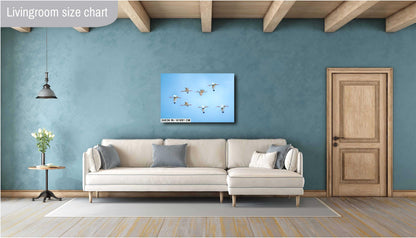 White Ibises Wedge In Flight: American White Ibis in Everglades National Park Florida Print Wall Art Birds Photography Aluminum/Metal/Canvas