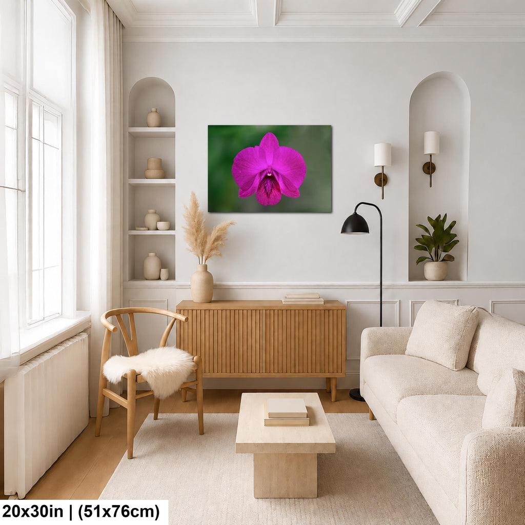 Violet Beauty: Purple Orchid Flower Botanical Floral Photography Wall Art