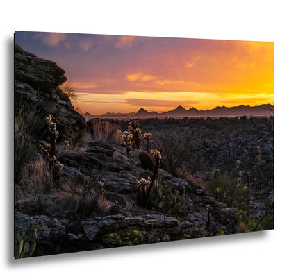 Sonoran Desert Sunset with Cholla and Saguaros - Casa Grande Arizona Photography Print