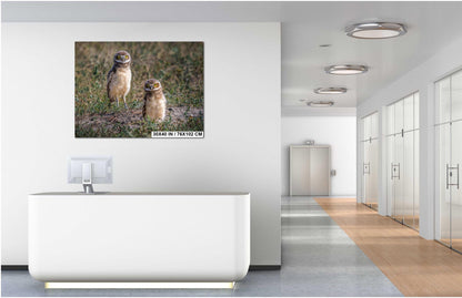 Burrowing Owls Pair Badlands National Park South Dakota Wildlife Photography Print, Wall Art Nature Decor Canvas Metal Acrylic