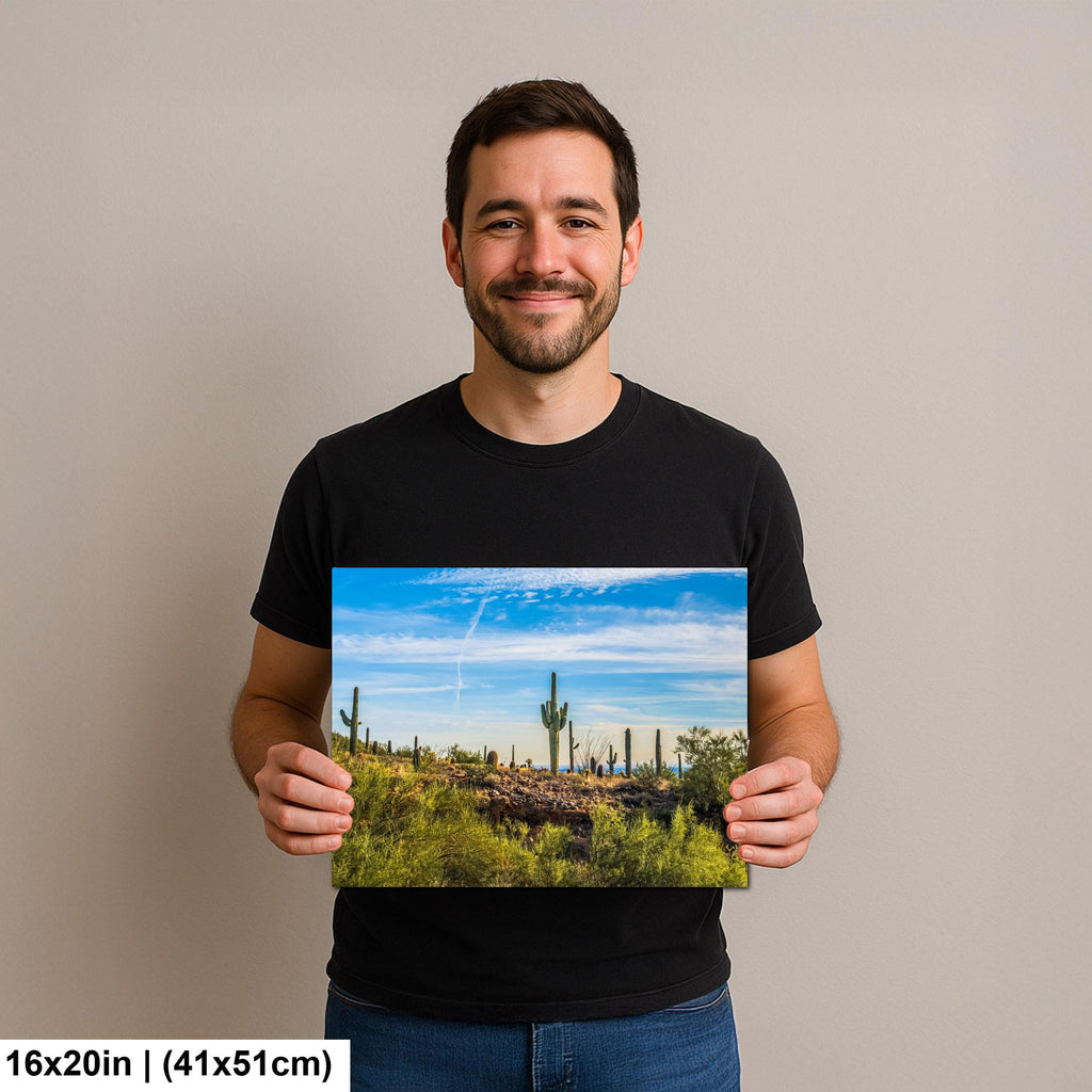 Golden Hour Saguaros at Usery Mountain Regional Park Mesa Arizona Desert Landscape Photography Print